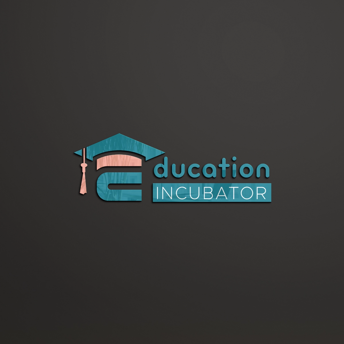 Education Incubator