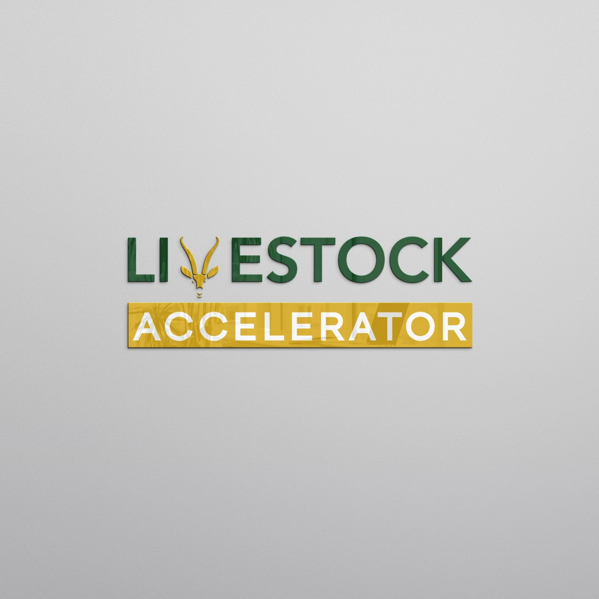 Livestock Accelerator